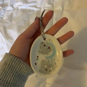 Earring holder